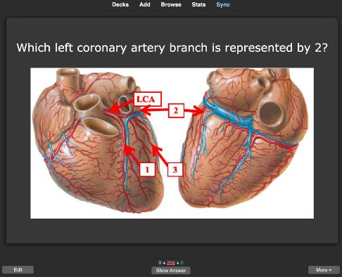 Anki for Medical School Surgery Rotation