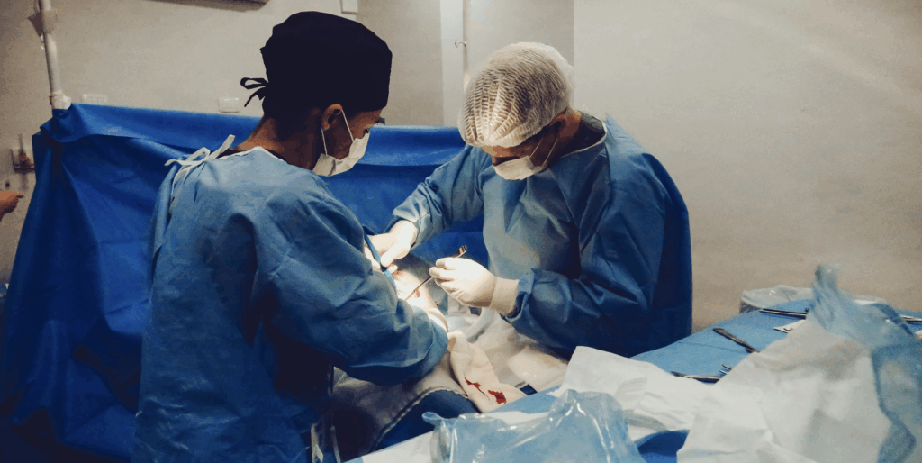 Orthopaedic Surgery Procedure