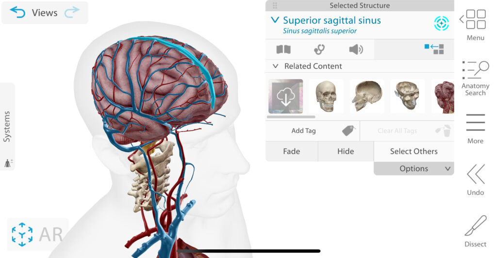Human Anatomy Atlas for Medical School Surgery Rotation